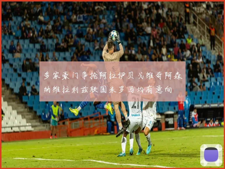 多家豪门争抢阿拉伊贝戈维奇阿森纳维拉利兹联国米罗马均有意向